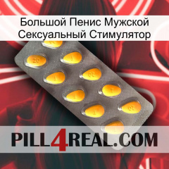 Большой Пенис Мужской Сексуальный Стимулятор cialis1